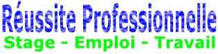 R&eacute;ussite professionnelle